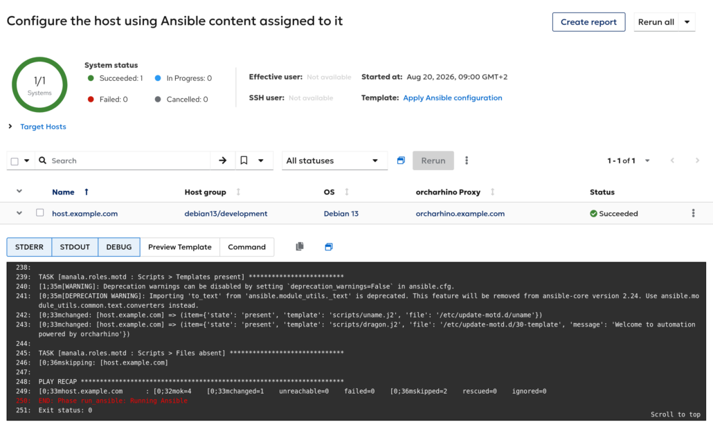 Remote execution job output